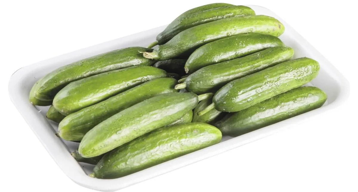 Salatalık Çengelköy 500 g Paket