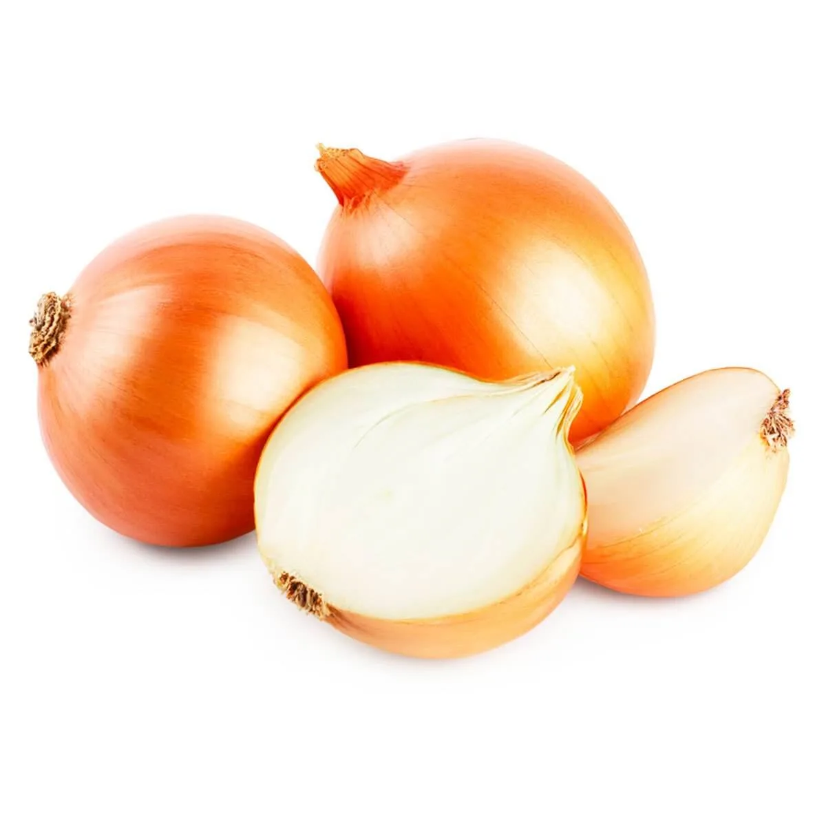 Kuru Soğan Kg