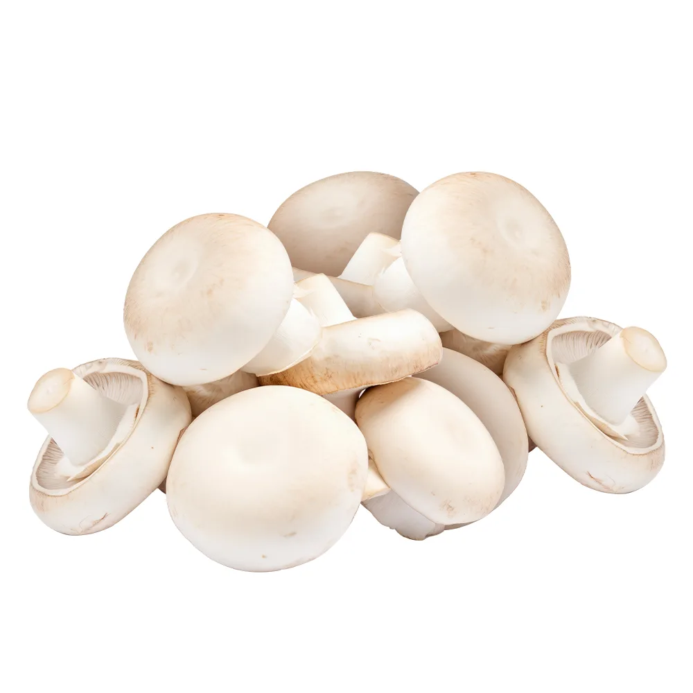 Mantar 300 g Paket