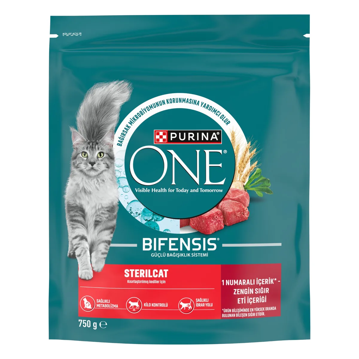Purina One Kedi Maması Sığır Etli 750 G